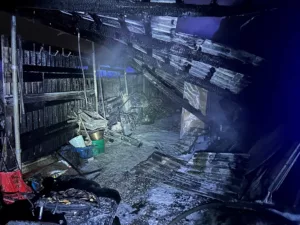 Polenud kuur Raasikul 29.11 3