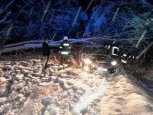 Põlva Padari auto puu all