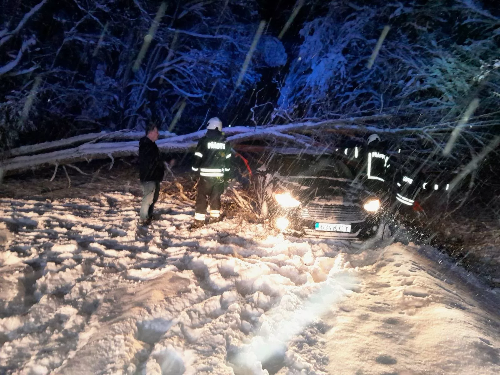 Põlva Padari auto puu all