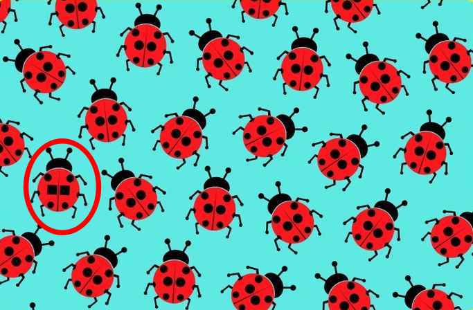 TEST: Sul on silmad teravad nagu kotkal, kui suudad 5 sekundiga märgata erineva lepatriinu! 5 lepatriinu 2