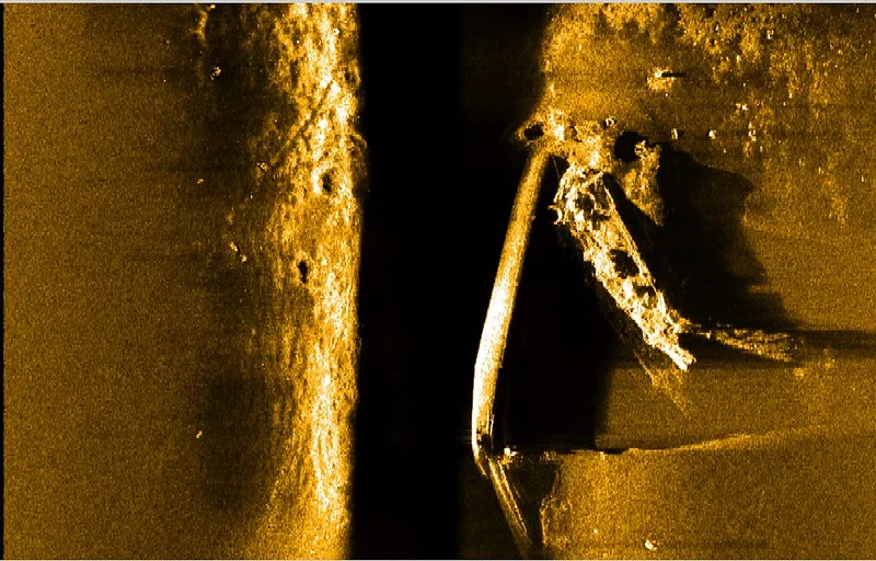 53376095782_d217898271_c