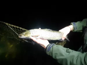 Lõhevetel_foto Keskkonnaamet