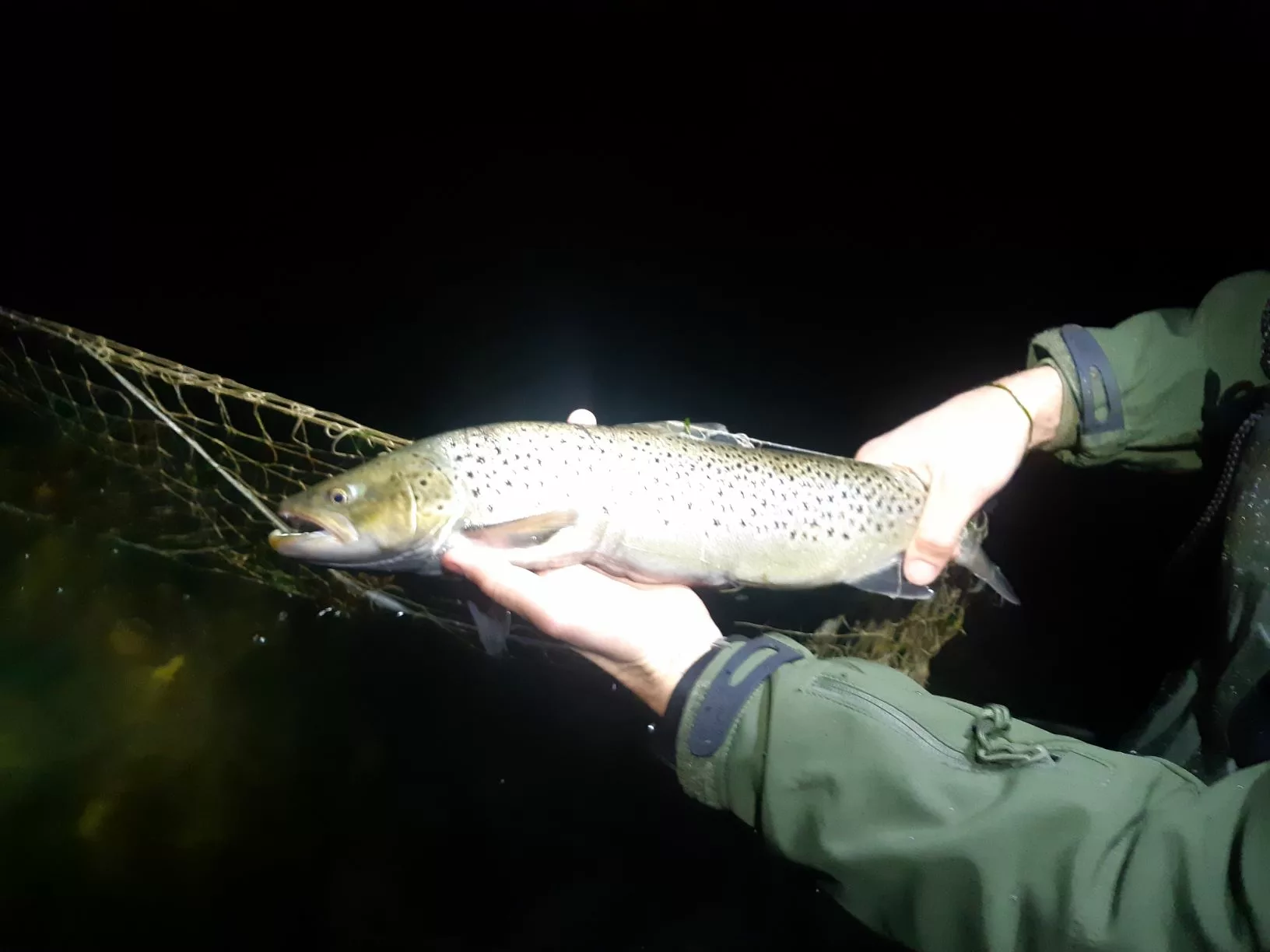 Lõhevetel_foto Keskkonnaamet