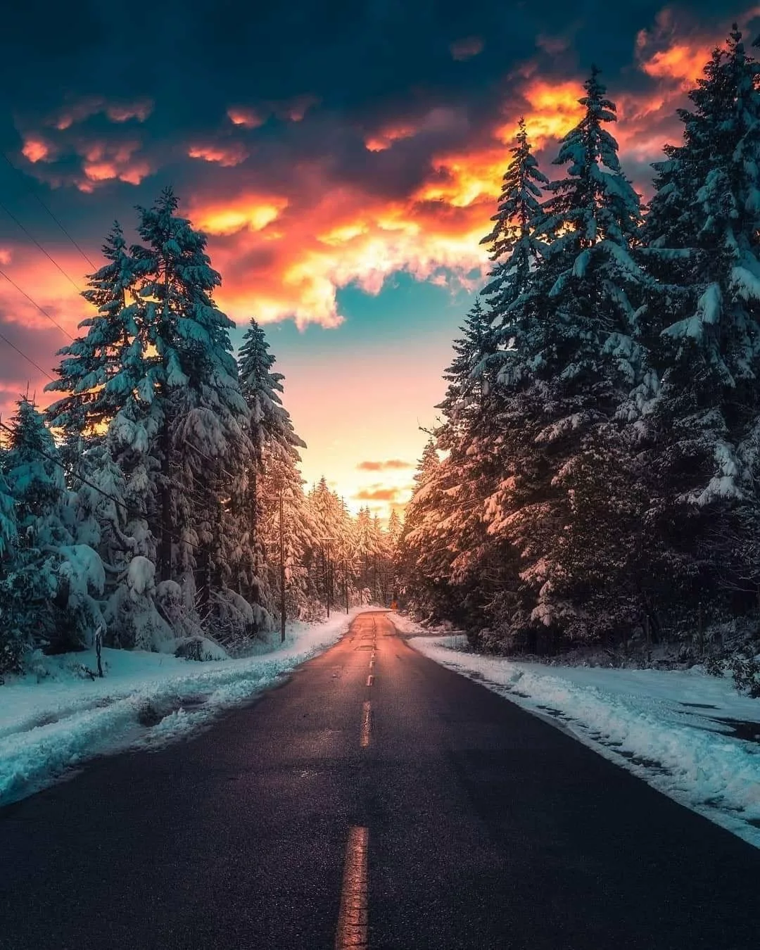 272327056_10228195081916912_1154056536319192056_n