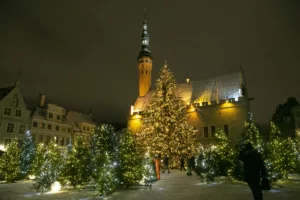 Võlumets 2022_Albert Truuväärt