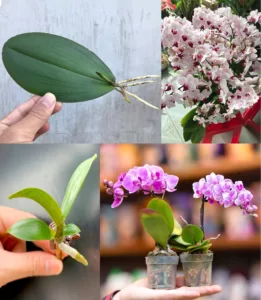 419742751_122161779752031745_1888574585086980538_n