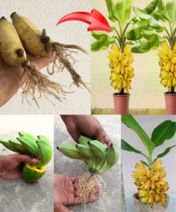 419742751_122161779752031745_1888574585086980538_n