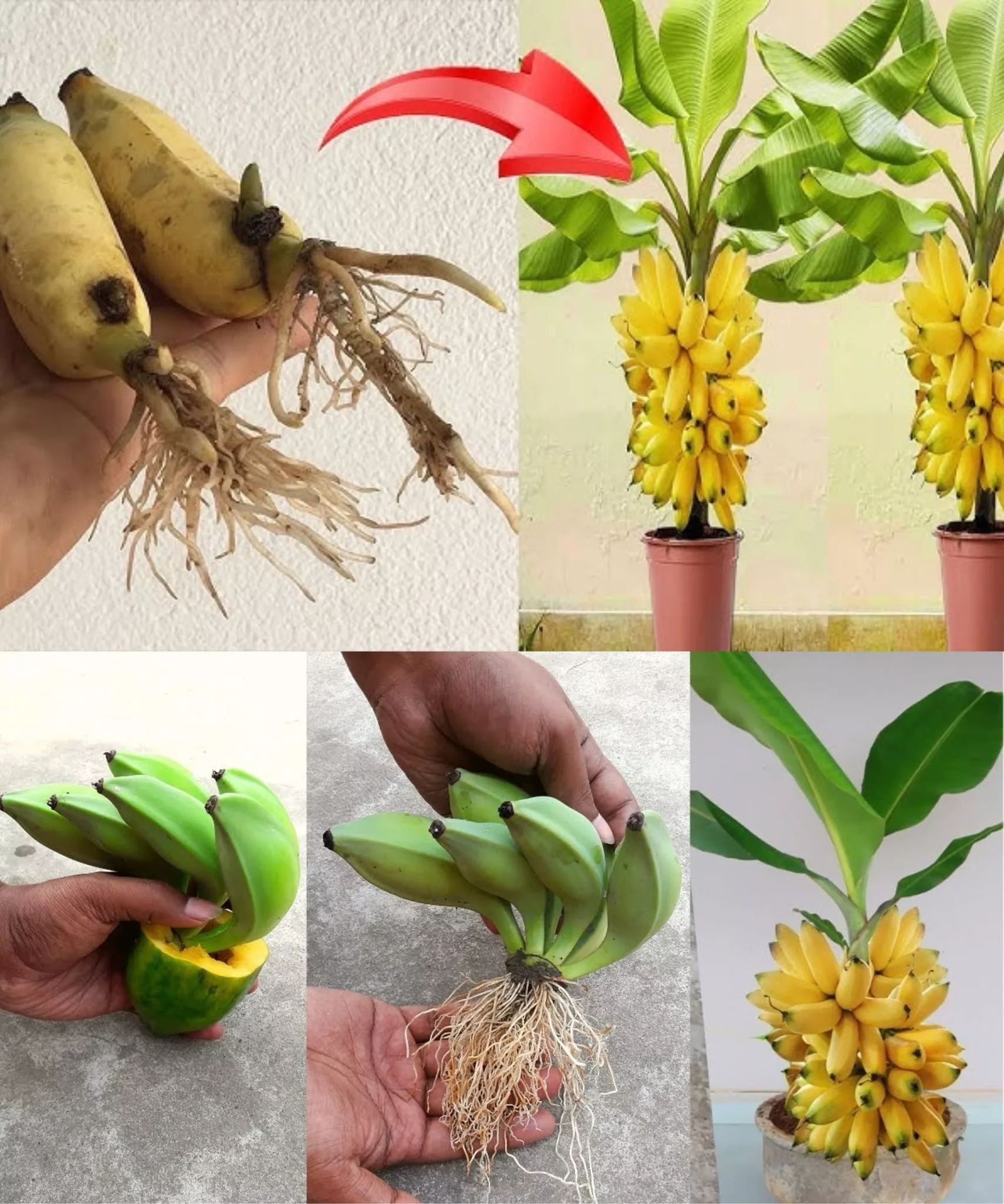 419742751_122161779752031745_1888574585086980538_n