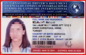 53525659102_dcd935cc75_c