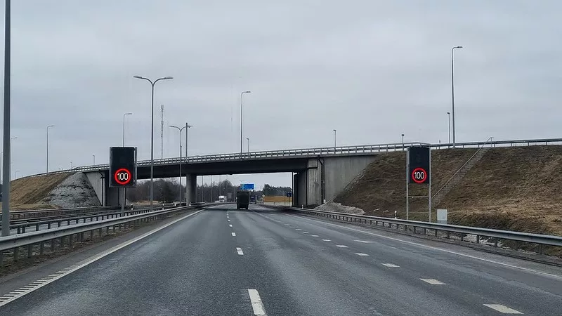 53559996367_5d308cc4bb_c