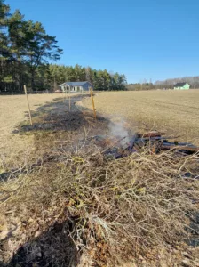 Kulu, Taebla 12.03.2024