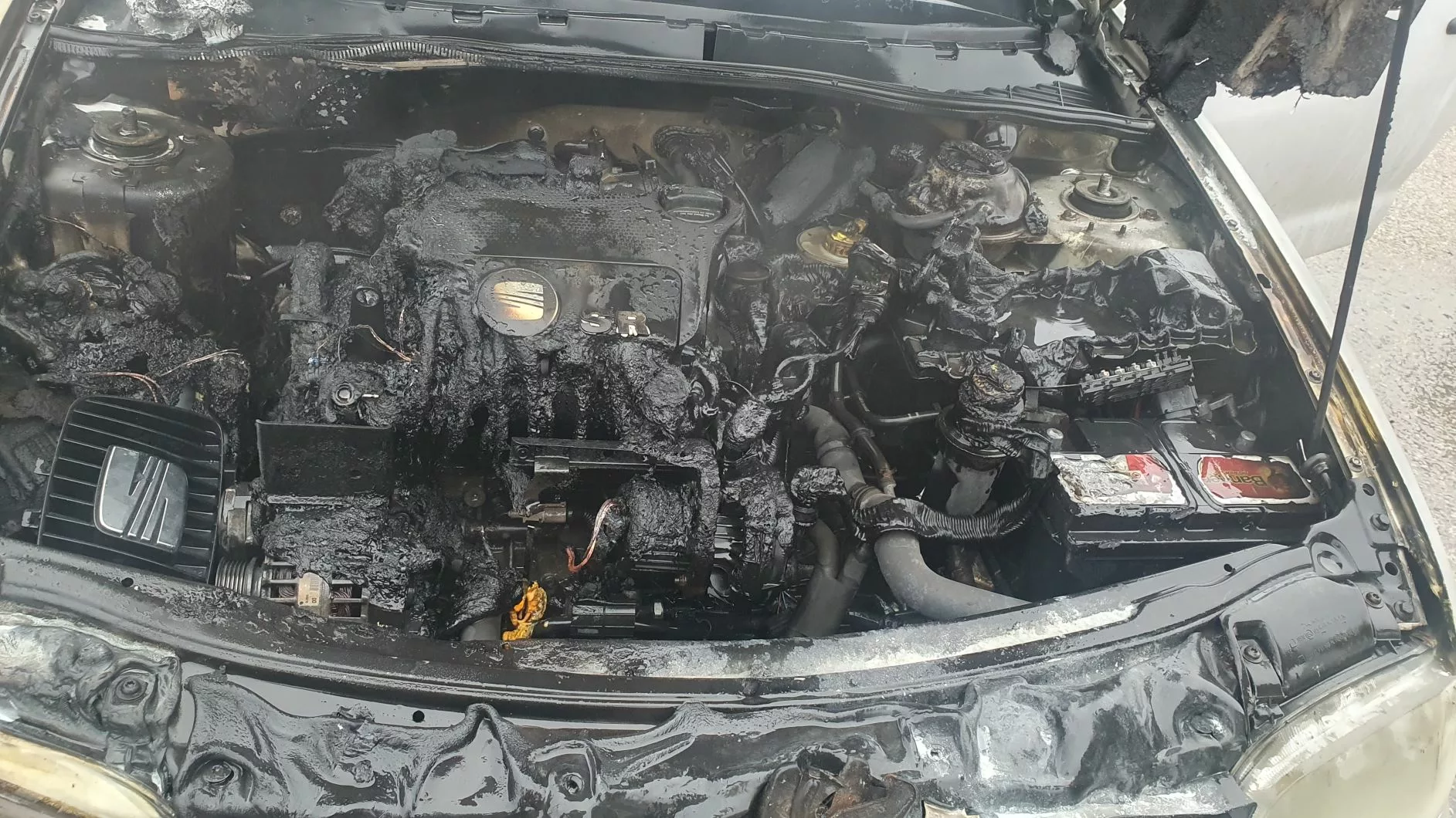 Maaritsa kokkupõrge põdraga