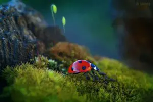 1014287_10200775028592716_1028749522_n