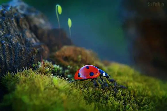 1014287_10200775028592716_1028749522_n