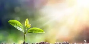 Giving-birth-to-Life-1080x608-1-660x330