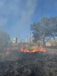 Oru_maastikupoleng_11.05.24