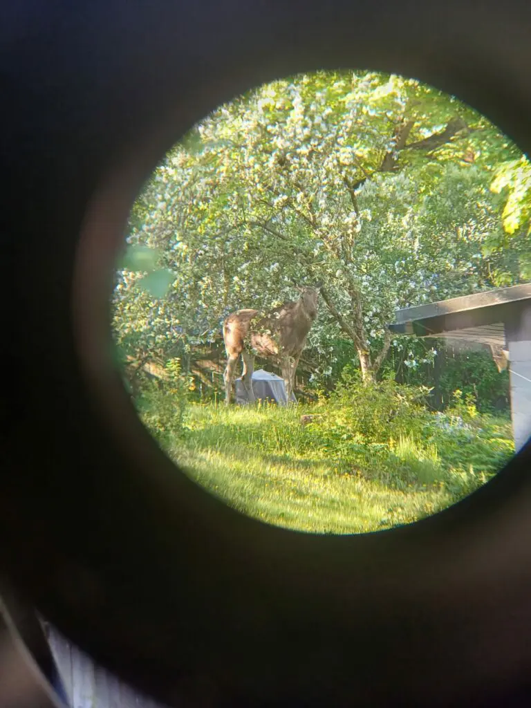 Põhja päästekeskuse operatiivsündmused 21.05 – 22.05.2024 3 Podrapaaste 22.05 3 1