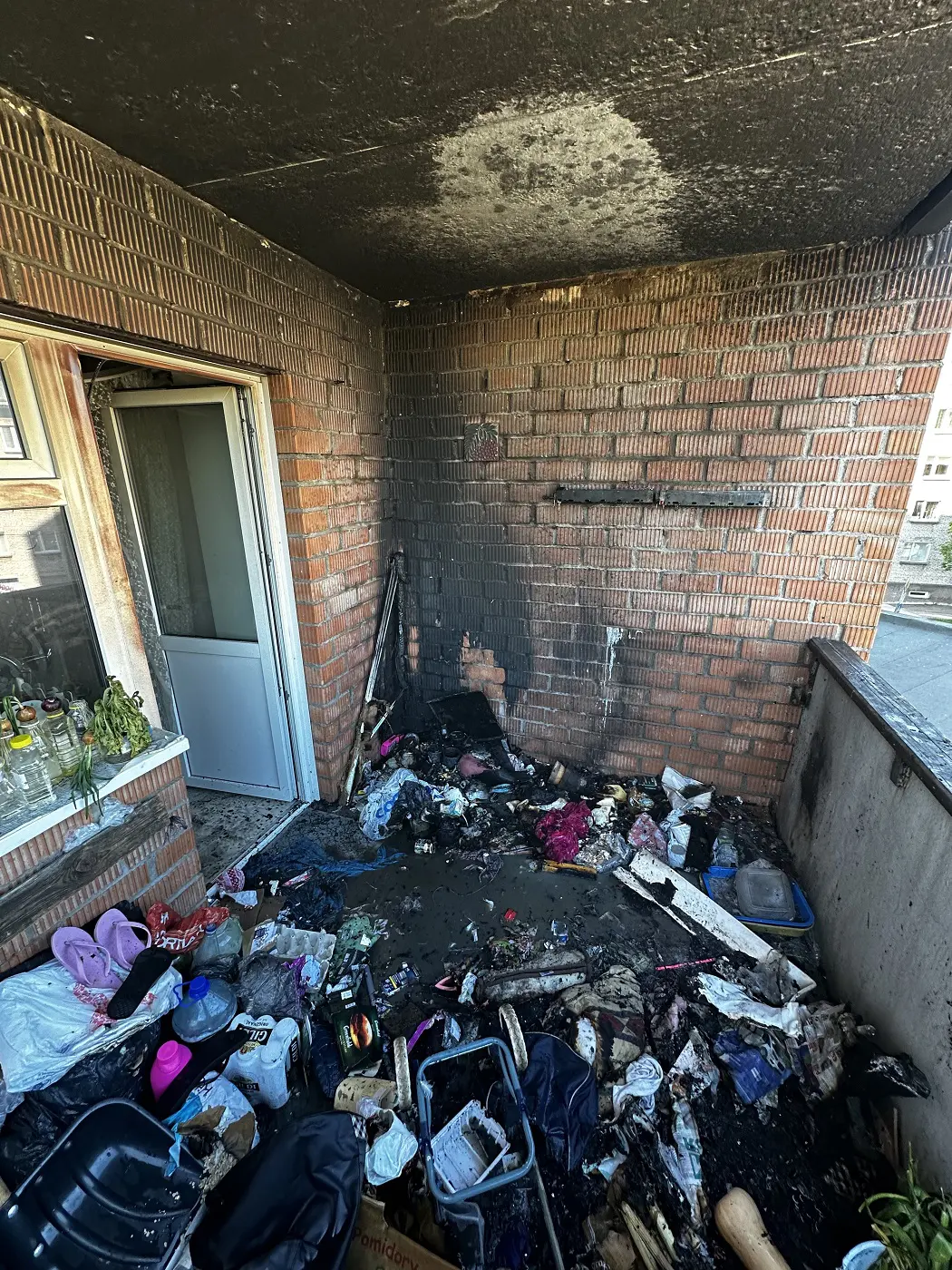 Narva_rodupoleng_27.06.24