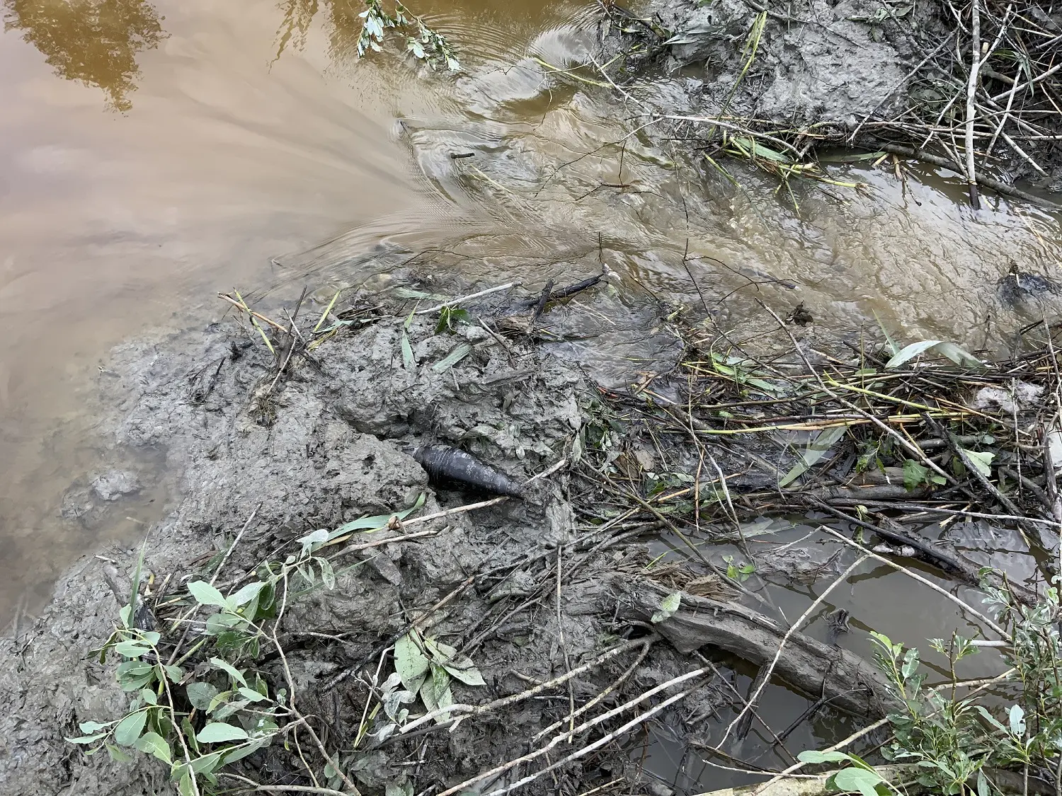 Paasteamet_kopratamm_miinileid_Auvere_12.06.24