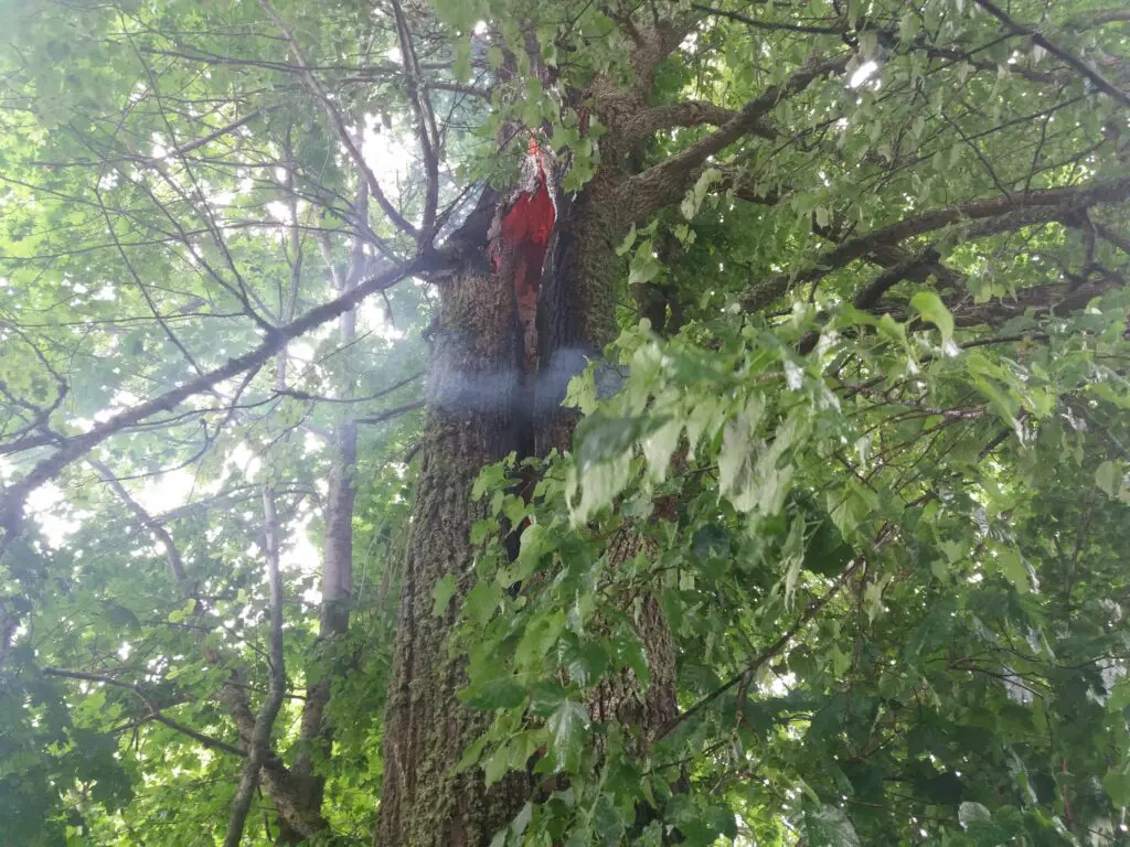 Lõuna päästekeskuse sündmused 14.-17. juuni 7 Rampe kula puuoos