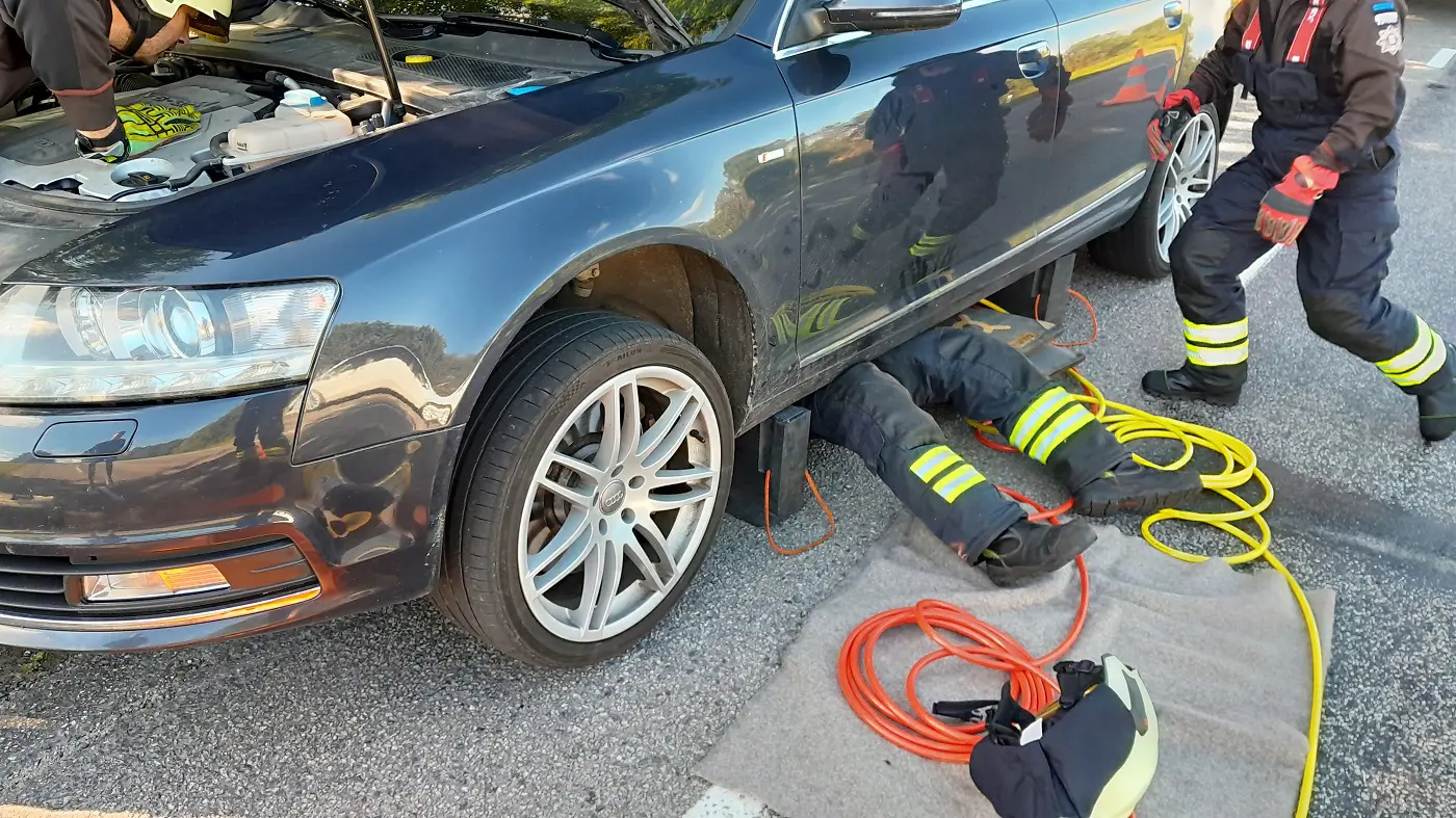 Luganuse_kassipoeg autos_10.07.24