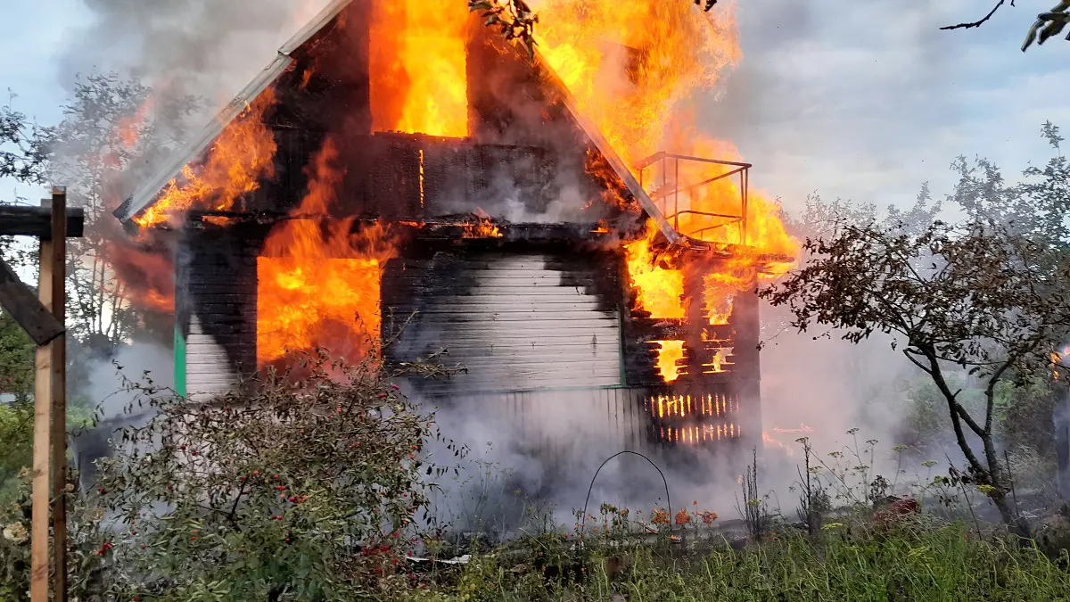 Narva_aiamaja poleng_11.07.24_1