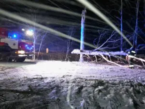 Viljandi v Kookla puu tõttu kraavi 2