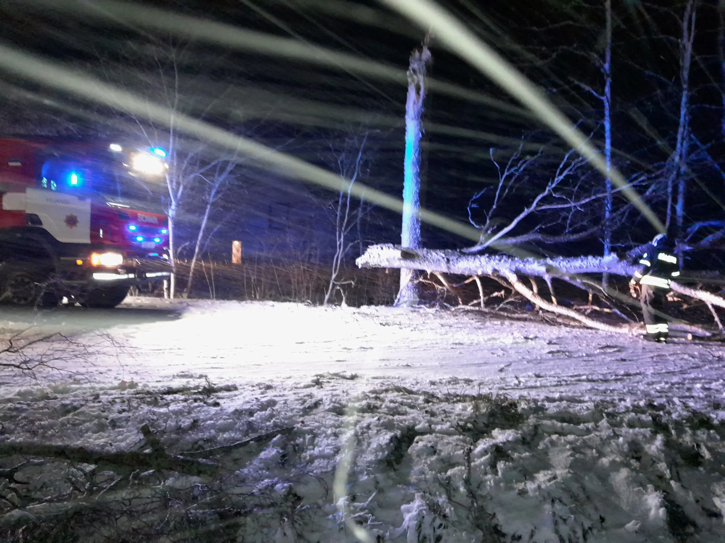 Viljandi v Kookla puu tõttu kraavi 2