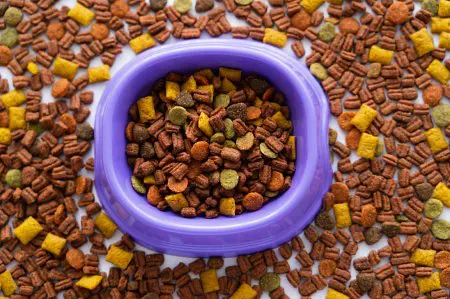 Tervislik toit hambaprobleemidega vanematele koertele - nipid ja trikid 5 article thumb 1