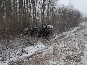 46496188_10219299456571838_5464555056126754816_n