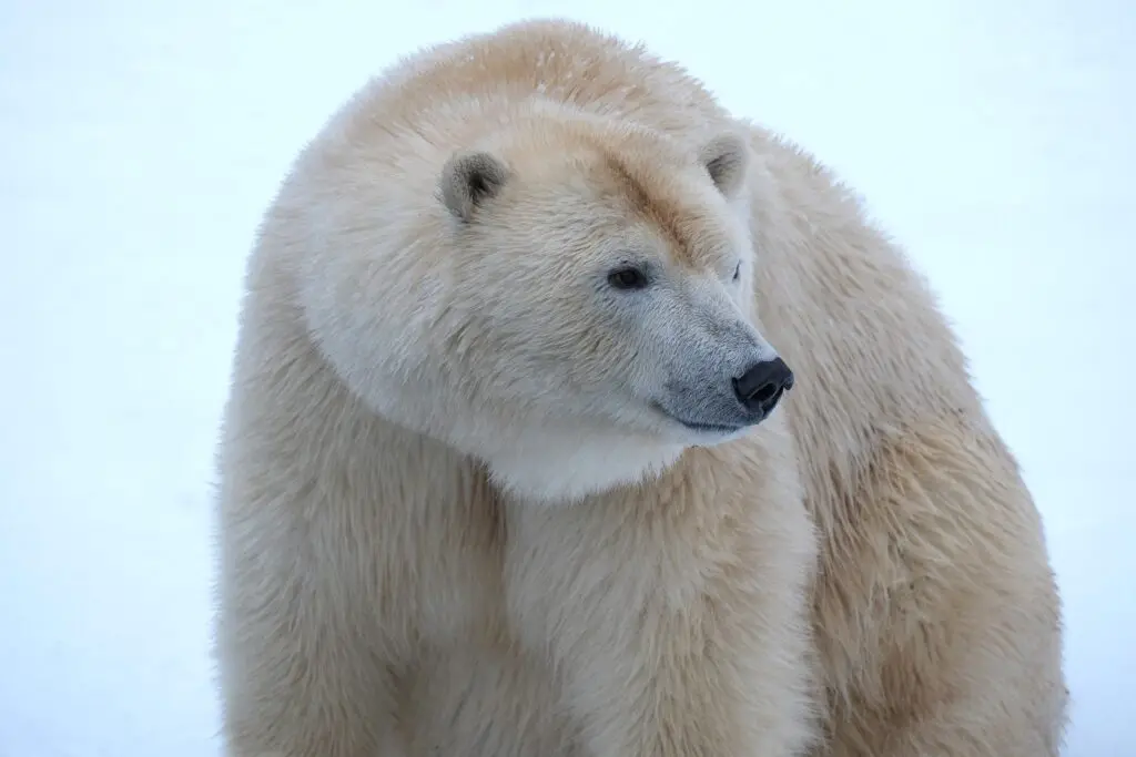 jaakaru-Imaq_foto-Inari-Leiman-1024x683