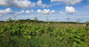 Keskkonnaamet minuaeg