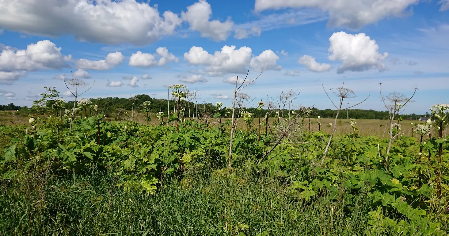 Keskkonnaamet minuaeg