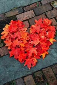 514407252_10237917813459124_1774247137815305014_n