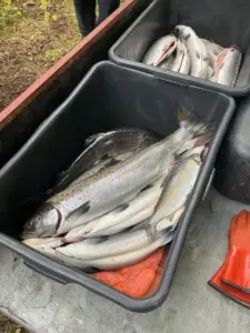 Kontrolli tulemus_foto Keskkonnaamet