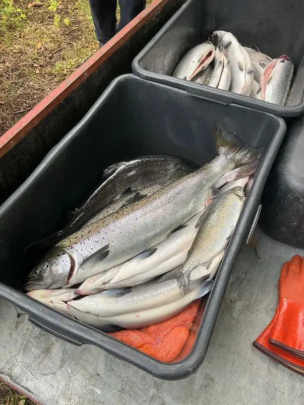 Kontrolli tulemus_foto Keskkonnaamet